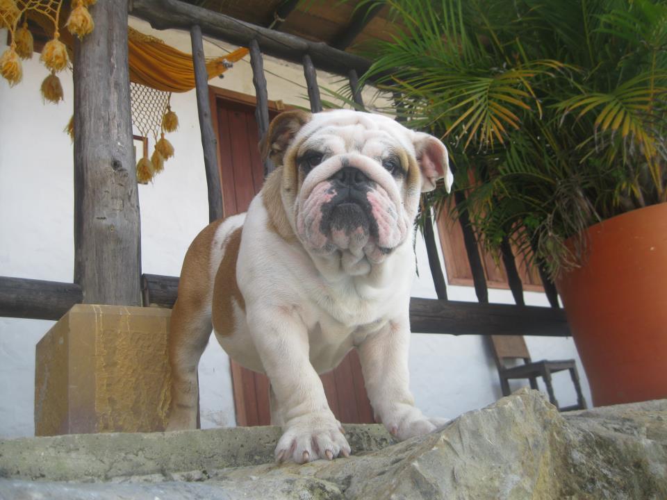 Hotel Terrazas De La Candelaria 3*